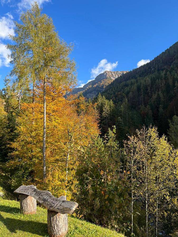 Hôtel pour 3 personnes, avec piscine et vue ainsi que jardin et sauna à Roncobello - 3