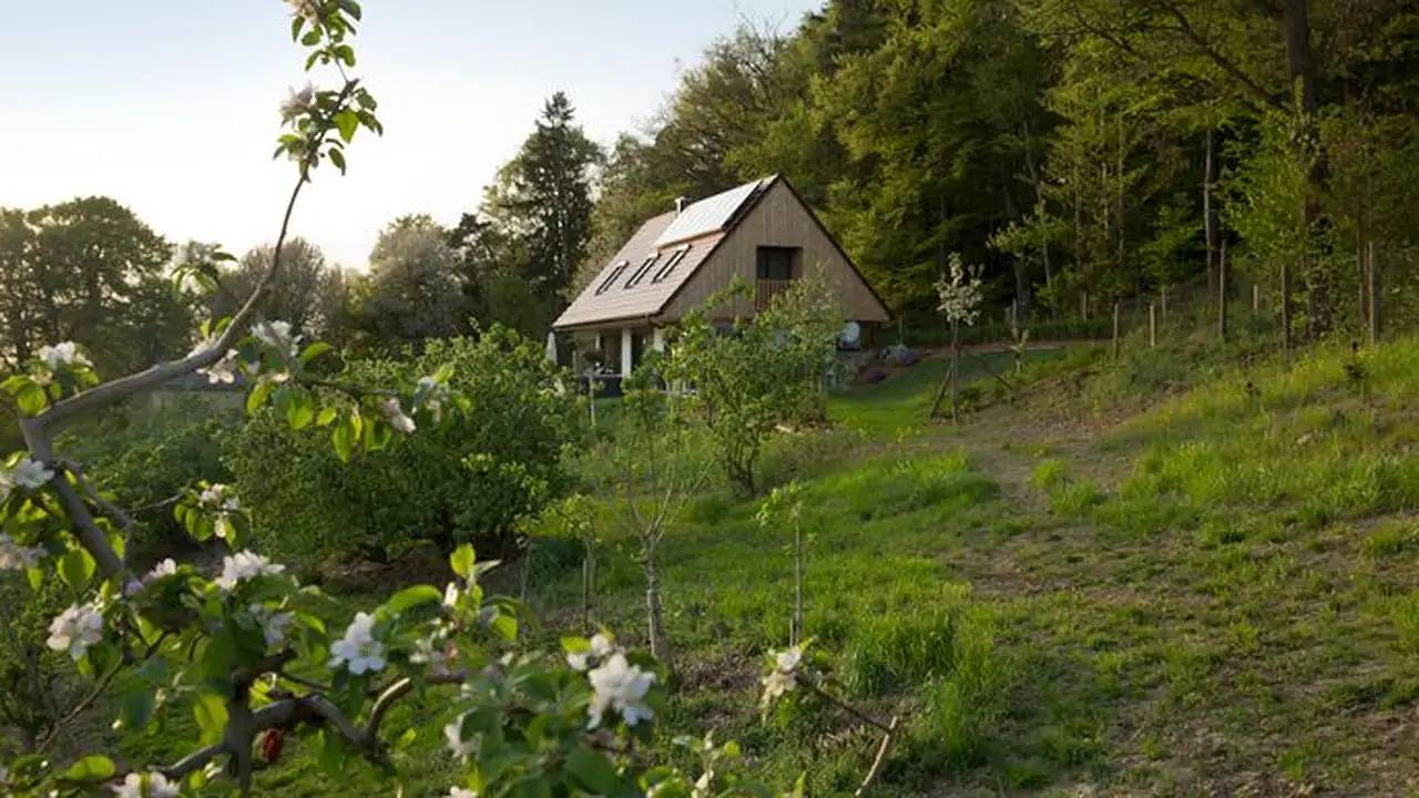 Ferienhaus für 6 Personen (104 m²) in Feldbach in Südoststeiermark, Feldbach