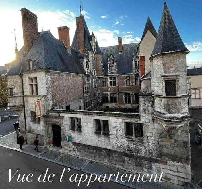 Gîte pour 6 personnes, avec vue, animaux acceptés dans Musee Du Berry Bourges