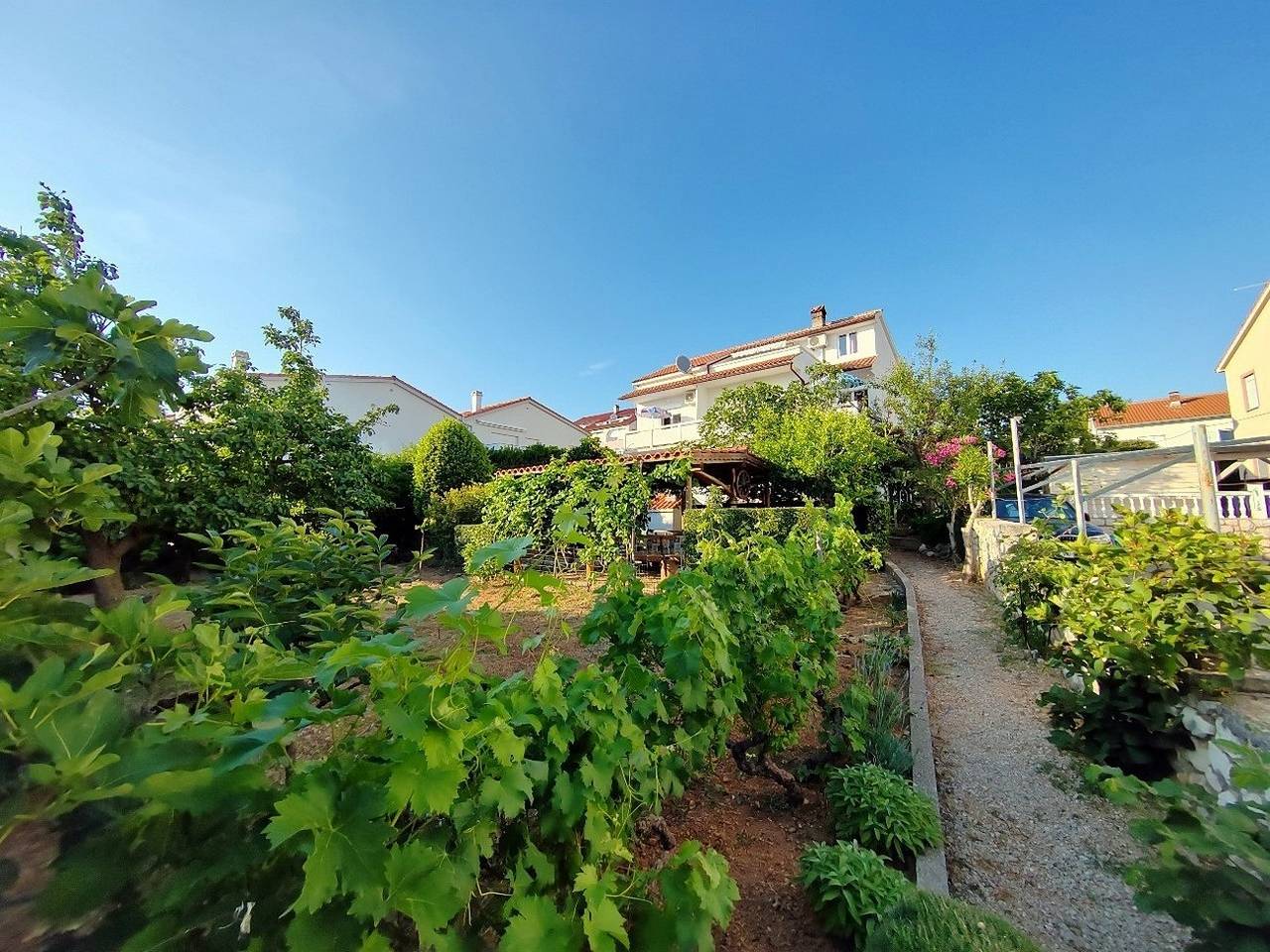 Ganze Wohnung, 2-Zimmer-Ferienwohnung mit Balkon und Meerblick Barbat, Rab A-22217-b in Kaštel (Barbat), Barbat na Rabu