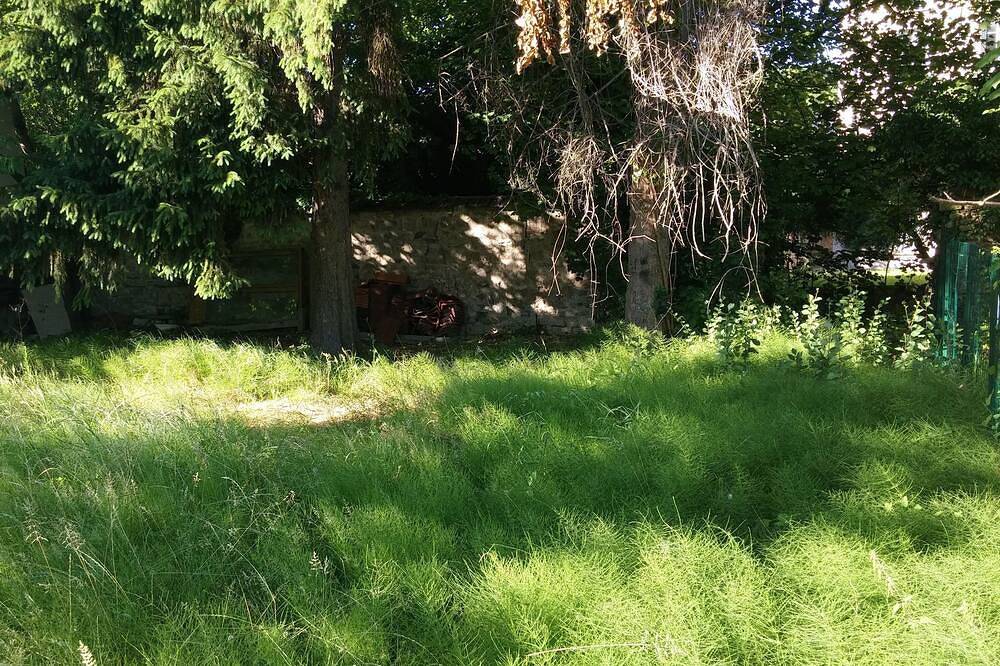 Chambre dans colocation sympa au bord d une rivière in Pontoise, Val-d'Oise