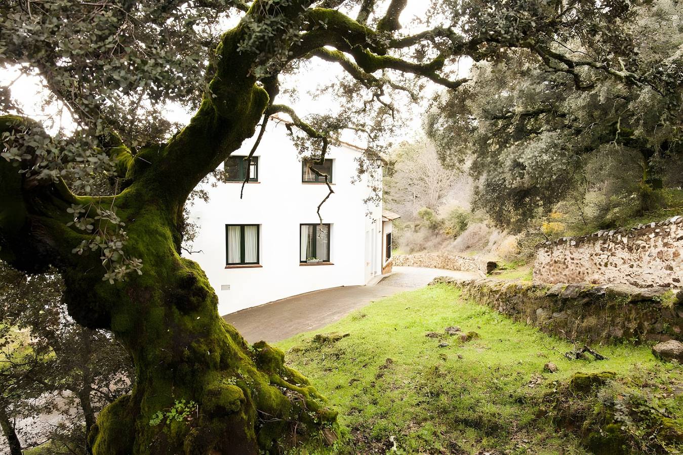 Ganze Wohnung, Casa Correcaminos 2, Obergeschoss in Santa Ana la Real, Sierra de Aracena y Picos de Aroche