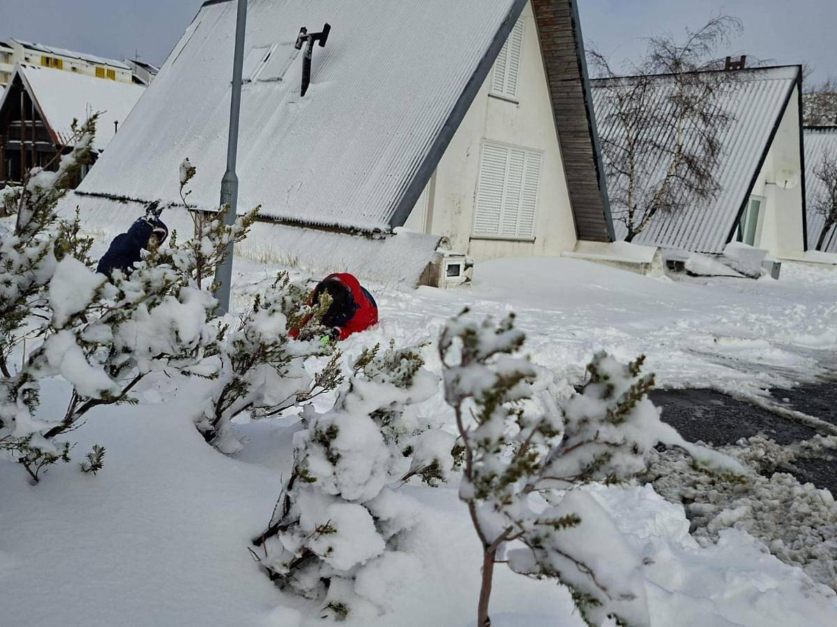 Chalé Acolhedor - Penhas da Saúde - Serra da Estrela in Cortes do Meio, Serra da Estrela