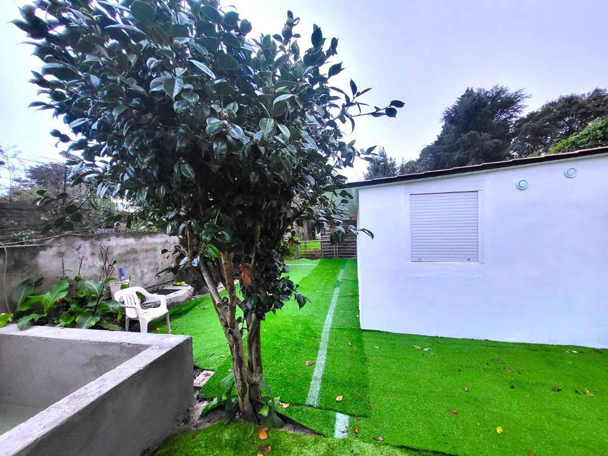 One-Bedroom House in Porto, Distrito do Porto