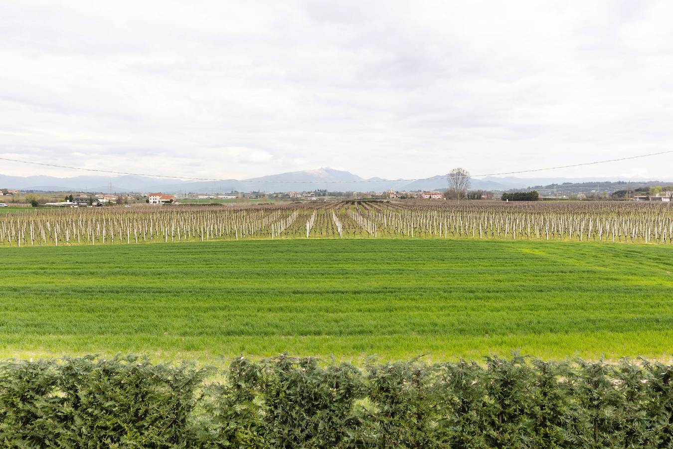 Zimmer 'Agr Casa Pezzo Doppia Piano Terra' mit Gemeinschaftspool, Wi-Fi und Klimaanlage in Castelnuovo del Garda, Gardasee-Berge