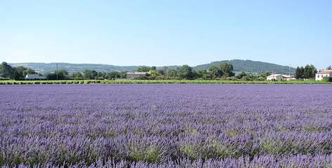 Camping pour 4 Personnes dans Venterol, Région de nyons, Photo 4