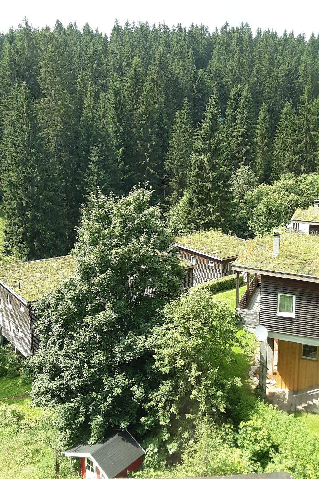 Feriendorf Bad Hundertpfund in Großbreitenbach, Rennsteig