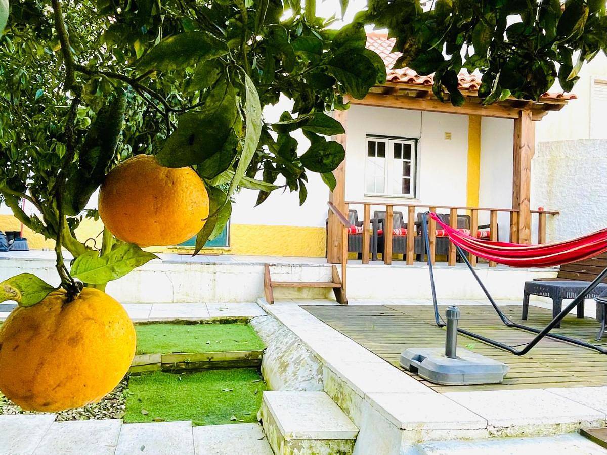 Casa da Laranjeira Pet Friendly in Bombarral, Leiria distrito