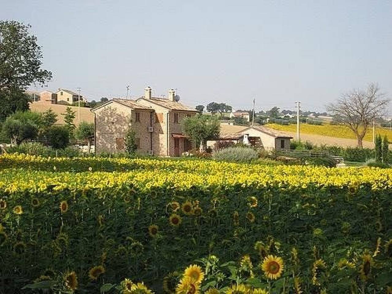 La Cascina del Poeta in Recanati, Adriatic Coast Marken