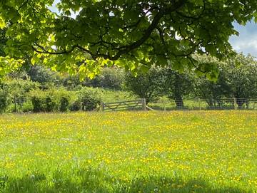 Holiday Rental for 2 People in Bodfari, Denbighshire, Photo 2
