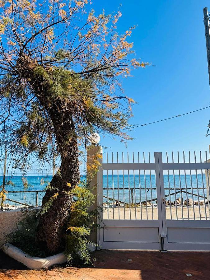 Ferienhaus für 4 Personen, mit Terrasse und Ausblick sowie Garten, mit Haustier - 1