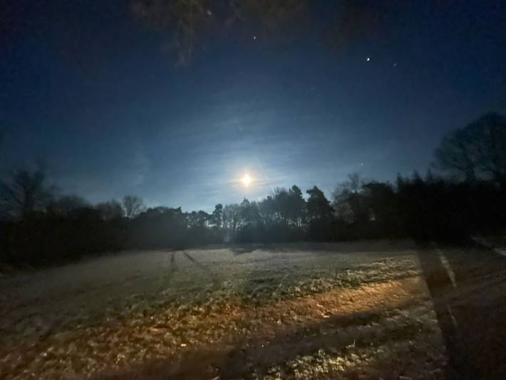 Ferienhaus für 11 Personen, mit Garten und Sauna sowie Ausblick, kinderfreundlich im Emsland - 3