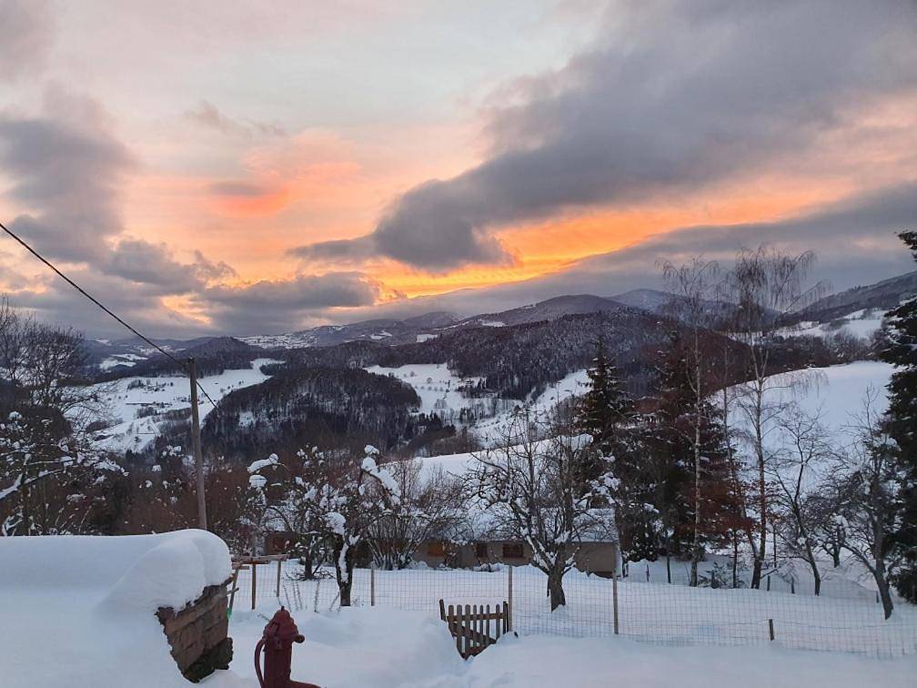 Le nid du Kaloui in Fréland, Parc naturel régional des Ballons des Vosges