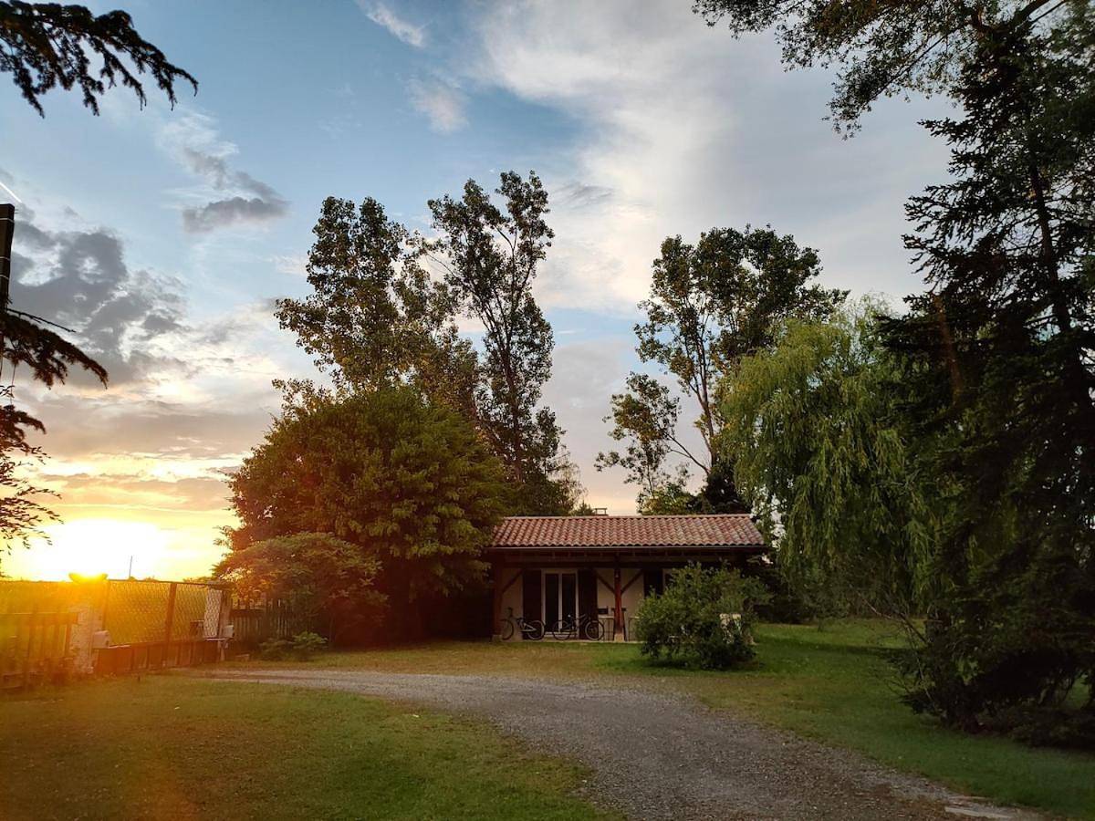 Réveil au chant des Oiseaux in Chalain-le-Comtal, Montbrison