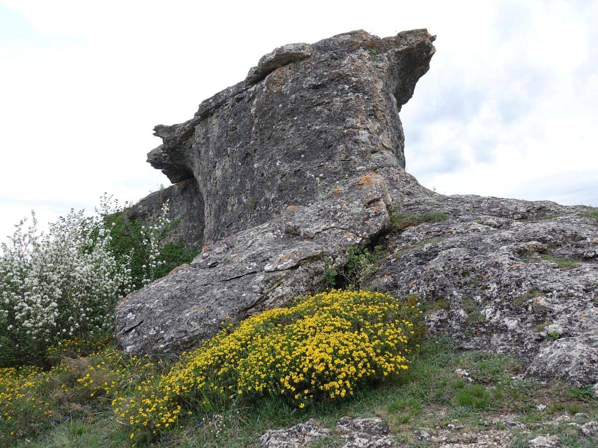 Casas Rurales El Mayorazgo in Aguilar de Campoo, Montaña Palentina