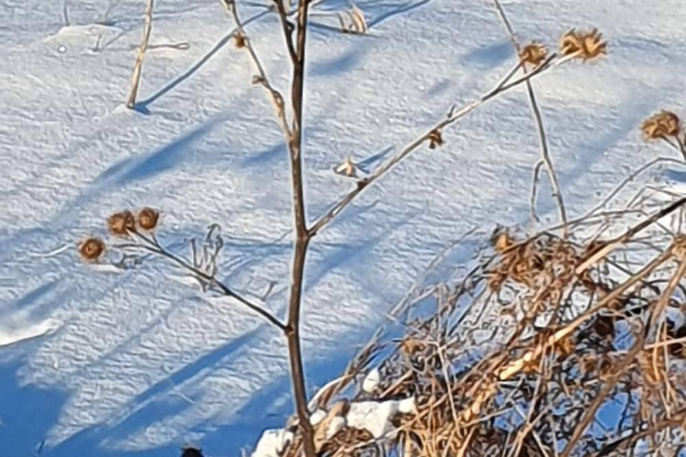 Ganze Wohnung, Ferienwohnung Wipperau I - Ferienwohnung Wipperau in Uelzen, Landkreis Uelzen