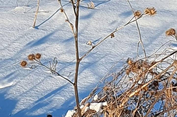 Ferienwohnung für 5 Personen, mit Garten und Terrasse - 1