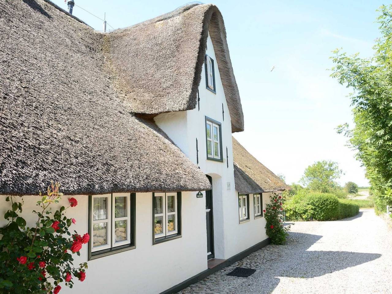 Föhrienhaus - Haus Wattwurm***** in Midlum, Föhr