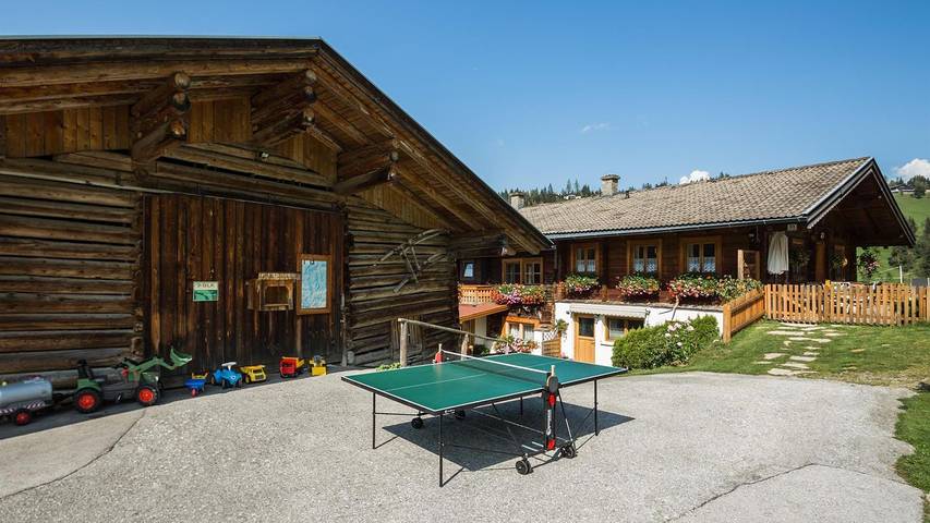 Hütte für 5 Personen, mit Balkon und Sauna, kinderfreundlich in Wagrain