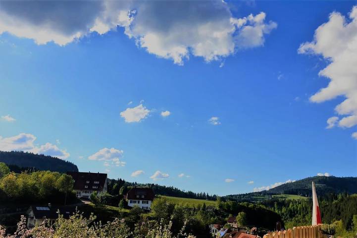 Ferienhaus für 4 Personen, mit Ausblick und Balkon, kinderfreundlich in Baiersbronn - 3