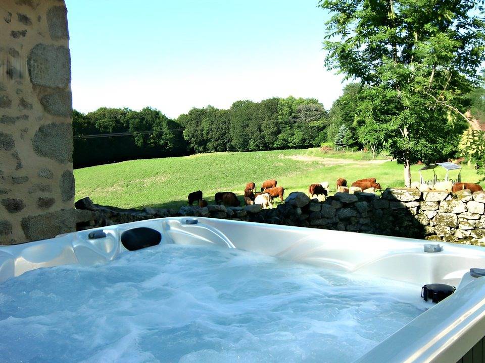 Maison avec spa privé et étang de pêche in Roumégoux, Région d'Aurillac