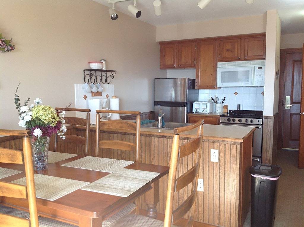 Ganze Wohnung, Rimfire Lodge - Deluxe Studio mit voll ausgestatteter Küche für 4 Personen in Snowshoe, Greenbrier River