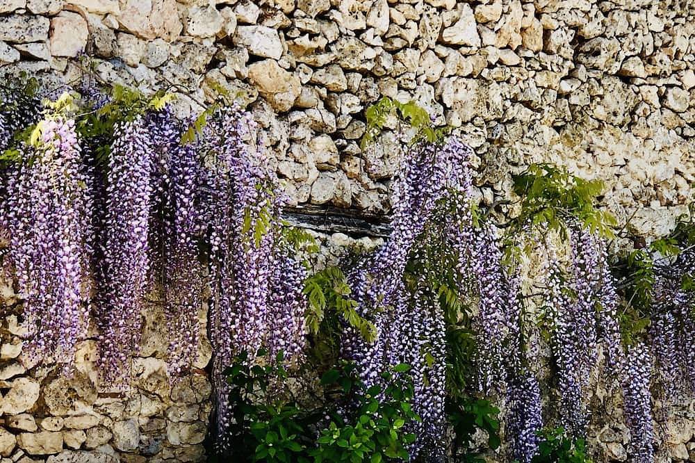 Le Gîte de la Maison des Chats The Cats Guesthouse in Saint-Amans-du-Pech, Tarn-et-Garonne