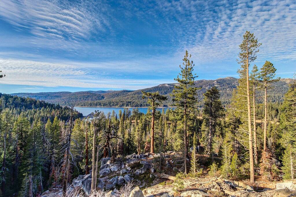 Gemütliche, familienfreundliche Hütte mit möblierter Terrasse - in der Nähe von Stadt, See und Ski in Shaver Lake, Kings Canyon Nationalpark