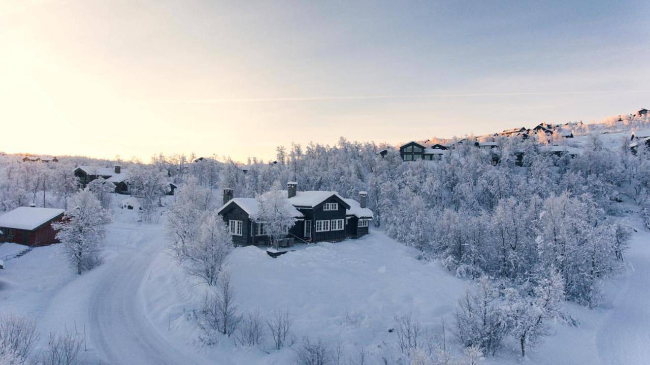 Lun og koselig hytte på fjellet, med badstu in Geilo, Hol