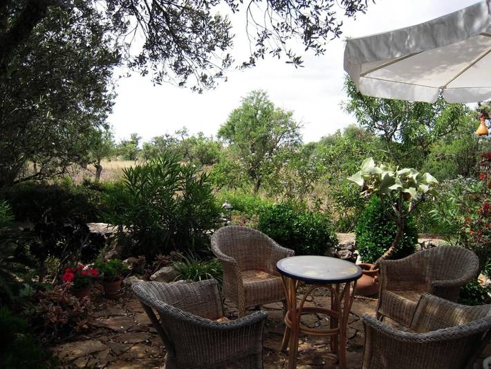 Ferienhaus für 8 Personen, mit Balkon und Terrasse sowie Garten und Pool in Sa Coma - 4