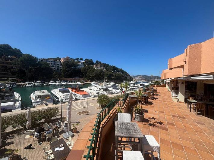 Appartement de vacances pour 6 personnes, avec jardin ainsi que vue et piscine, animaux acceptés