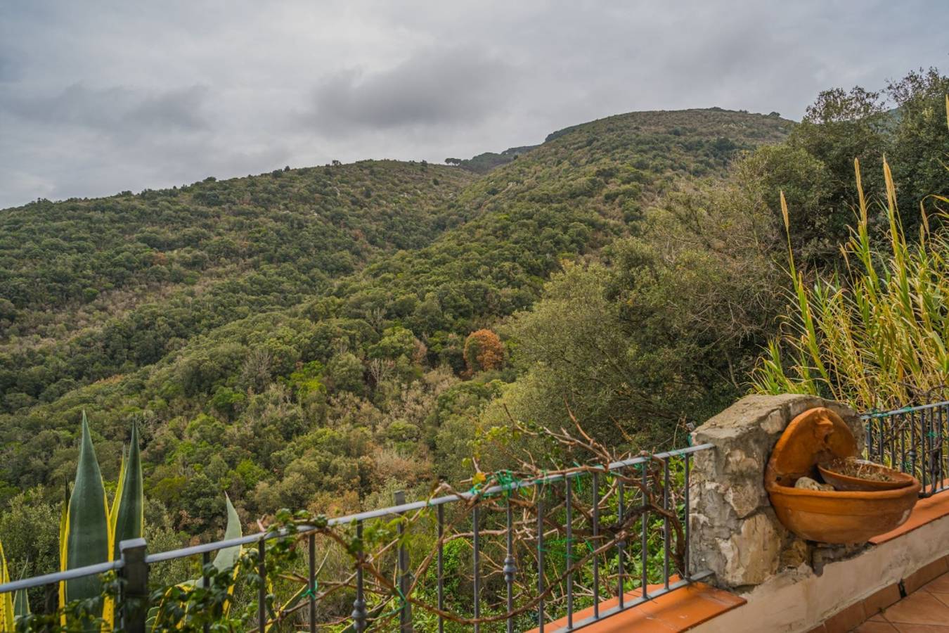 Entire holiday apartment, App.Ti Straccoligno - Casa Mimma in Naregno, Elba