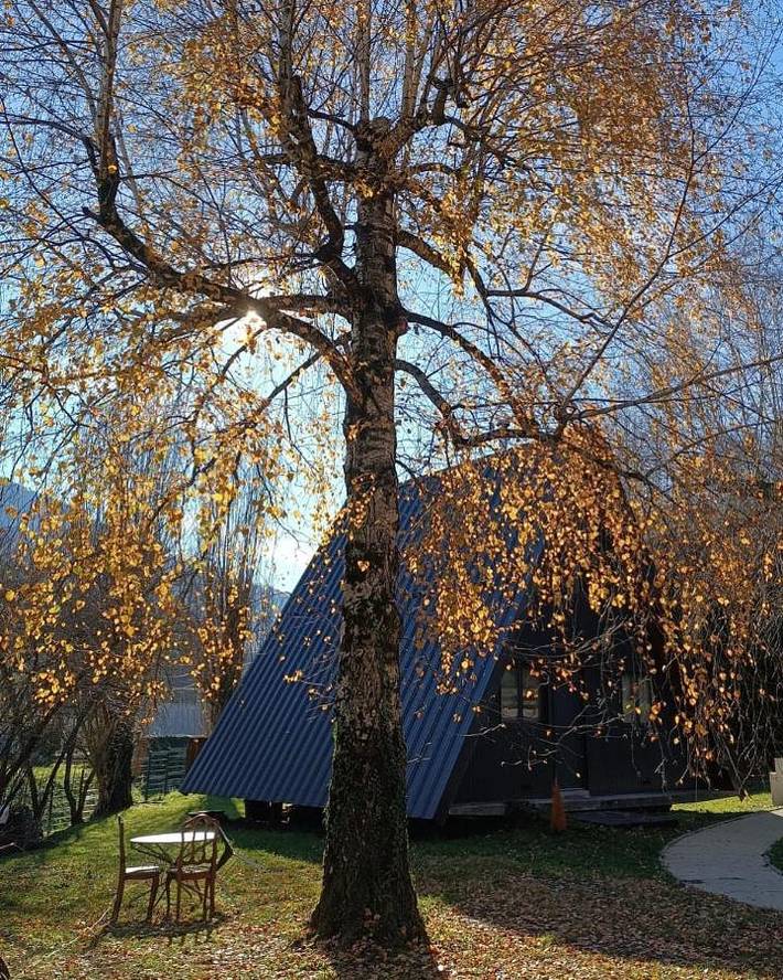 Gîte pour 5 personnes, avec jardin à Cierp-Gaud - 4