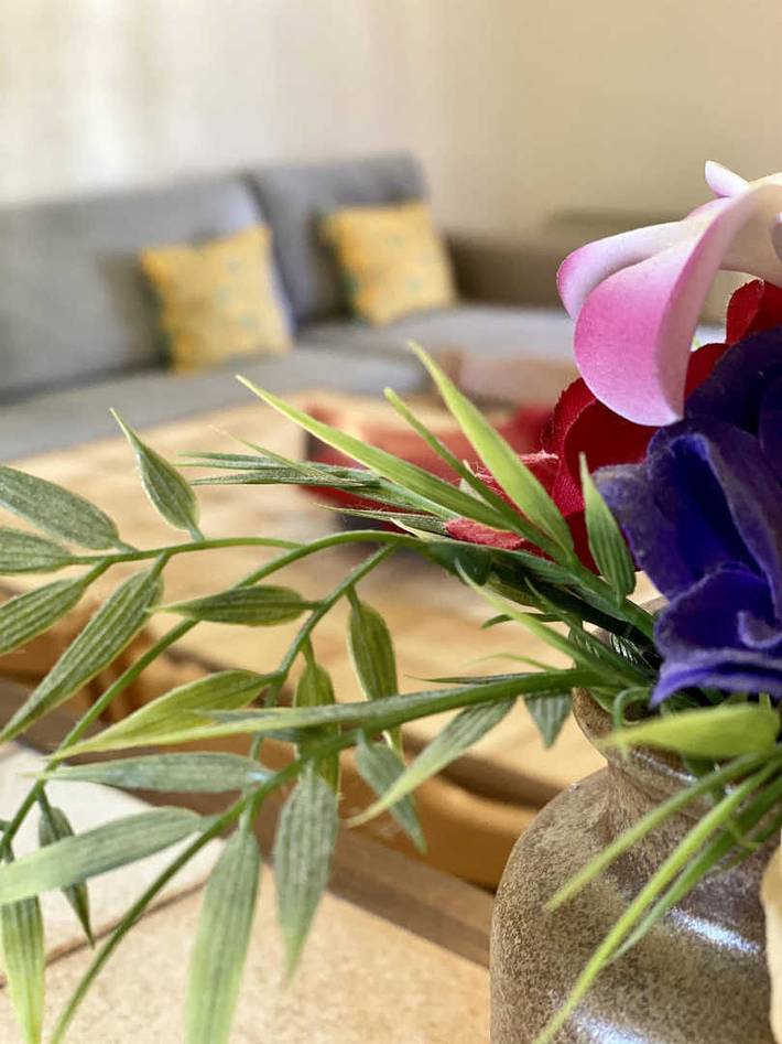 Gîte für 2 Personen, mit Terrasse, mit Haustier in Aude - 4