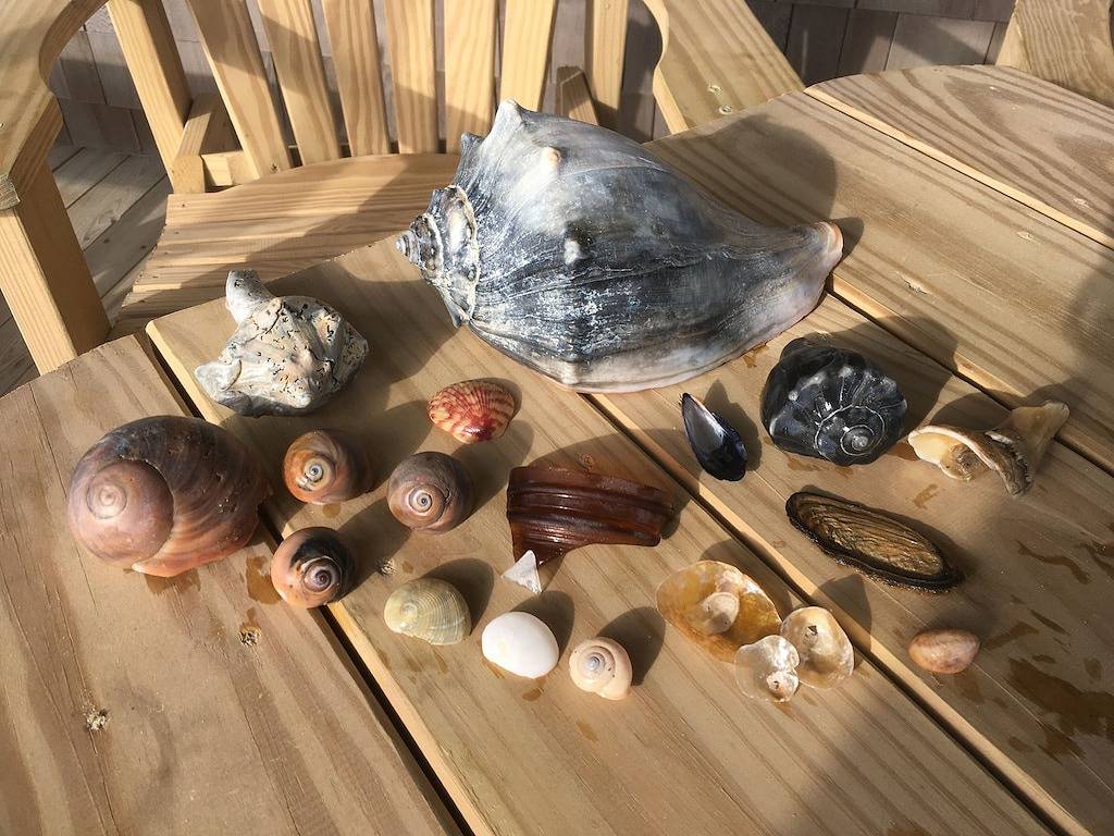 Charmantes Oceanfront Beach Cottage. . . Das ist dein glücklicher Ort !! in Nags Head, Dare County