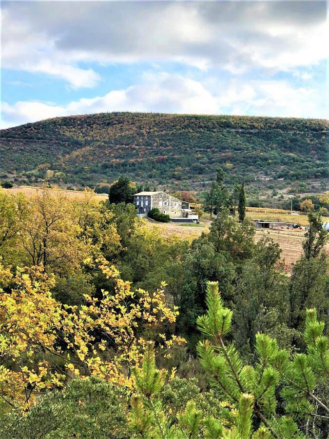 Gîte 12-14p, 5ch, 3sdb, piscine chauffée en saison, terrain de pétanque et jeux extérieurs extérieurs in Alba-la-Romaine, Privas (arrondissement)