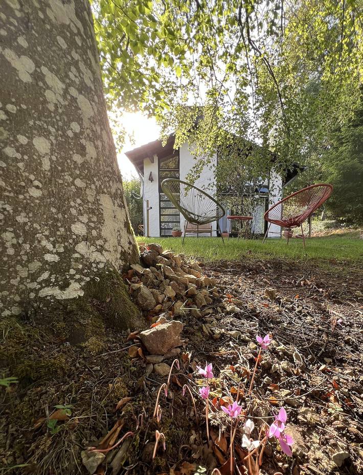 Ferienhaus mit Dusche und Wc, 1 Schlafraum in Lissendorf, Vulkaneifel