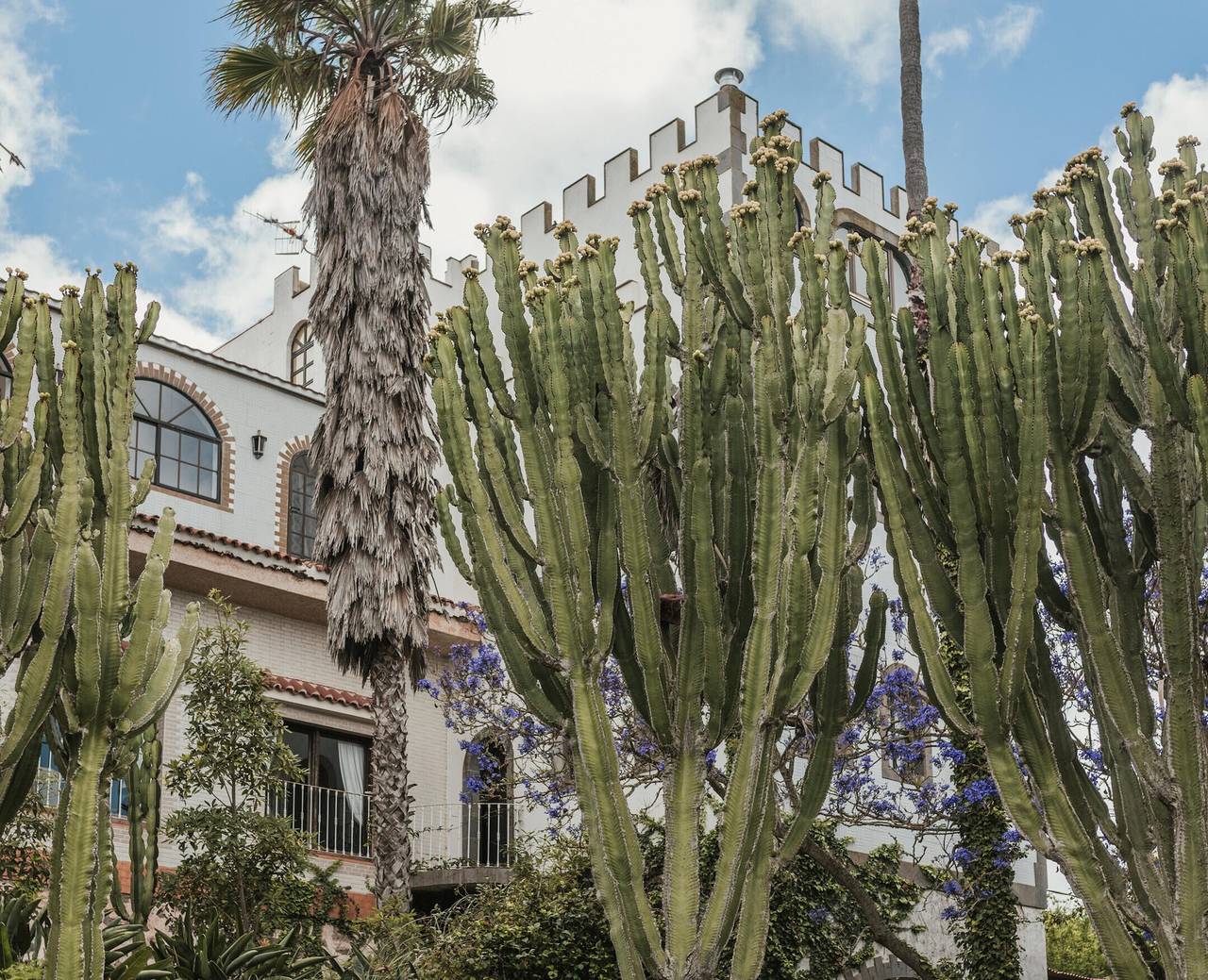 Vacation 'Bastion Del Drago - 8' with Mountain View, Shared Terrace and Wi-Fi in Arucas (municipality), North Gran Canaria