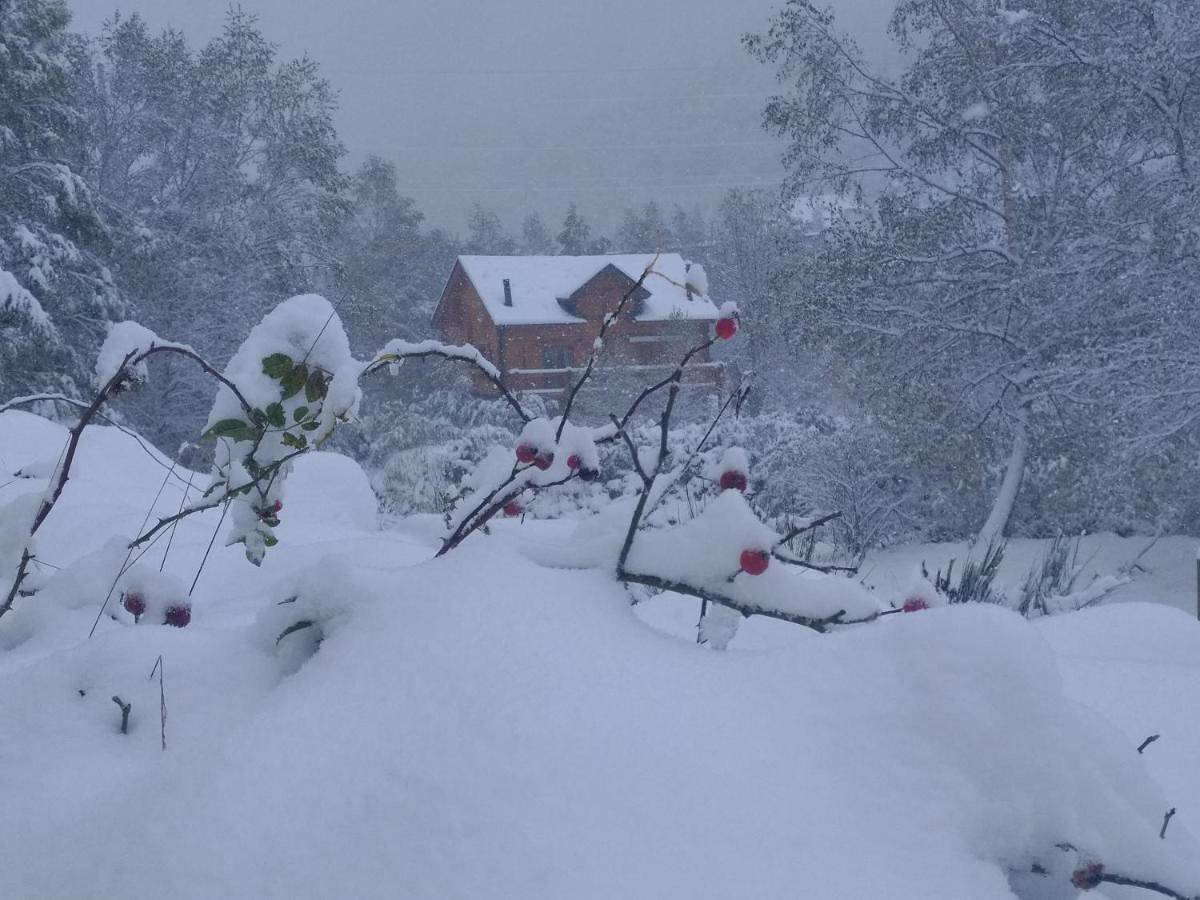 Chalet bois au milieu des Pyrénées in L'Hospitalet-près-l'Andorre, Pyrénées