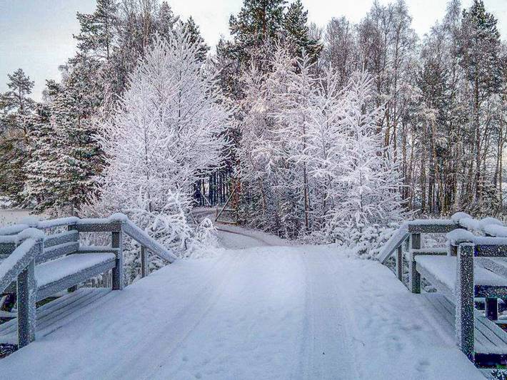 Niinimökki in Mäntyharju, Südsavo