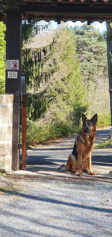 Chambre d’hôte pour 2 personnes, avec jardin et piscine en Corrèze - 3