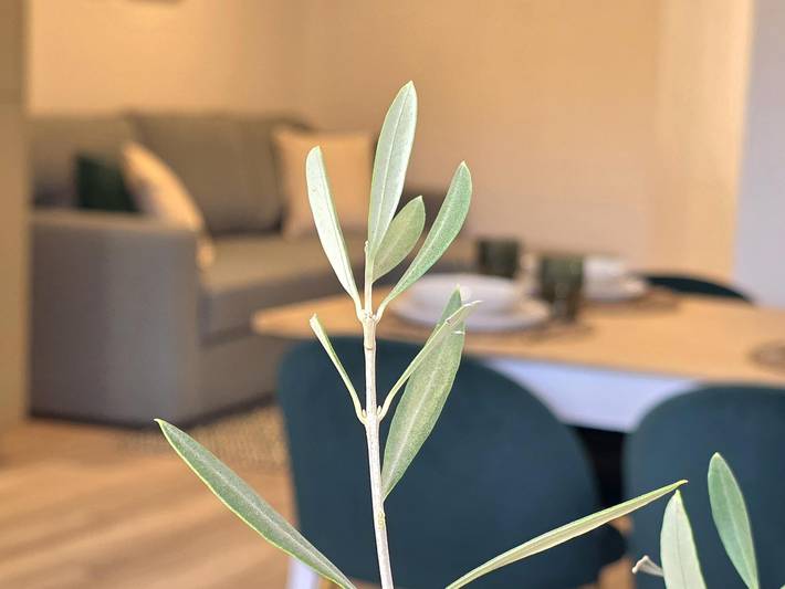 Casa de férias para 4 pessoas em Castelo de Vide