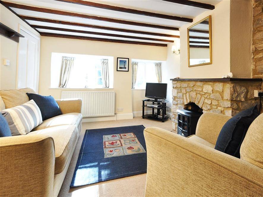 Little Ivy in Lulworth Cove, Dorset