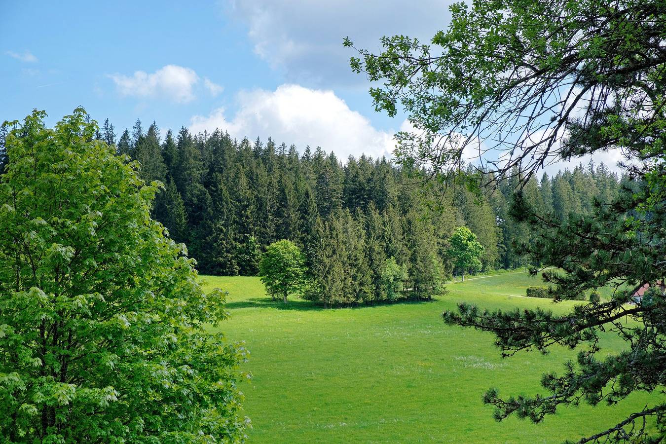 Ganze Wohnung, Ferienwohnung 'Jachmann, 80qm' mit privater Terrasse, privatem Garten und Wi-Fi in Schönwald, Südschwarzwald