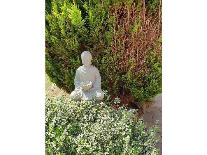 Ferienhaus für 2 Personen, mit Terrasse und Garten, mit Haustier in Ueckermünde - 4