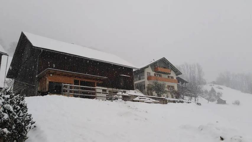 Ferienwohnung für 5 Personen, mit Garten und Terrasse in Bludenz - 3