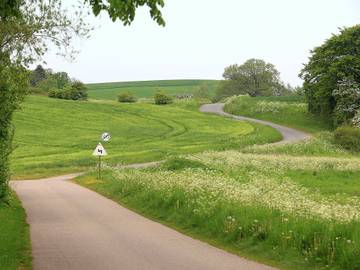 Ferieudlejning til 10 Personer i Diernæs, Haderslev, Billede 1