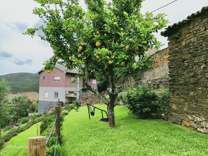 Location de vacances pour 7 personnes, avec jardin et vue, animaux acceptés dans Águeda - 4