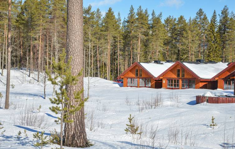 Ferienwohnung für 8 Personen, mit Garten in Trysil - 2
