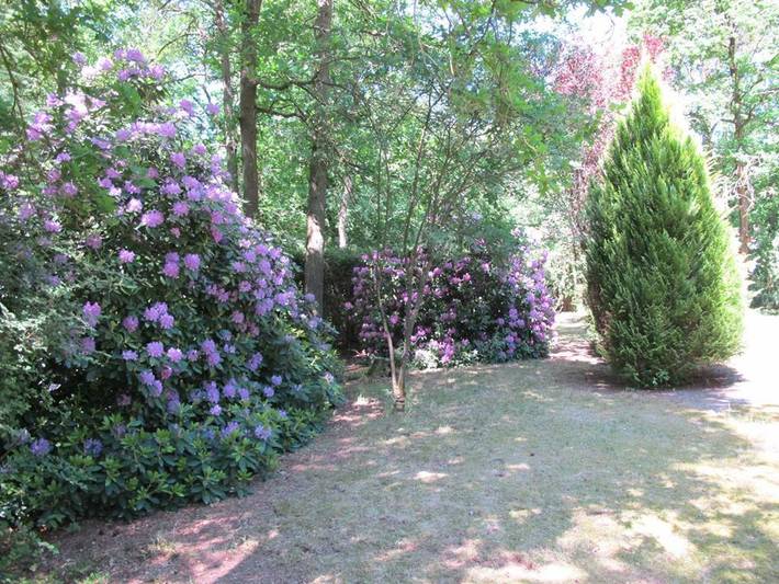 Ferienhaus für 2 Personen, mit Garten und Terrasse in Schneverdingen - 3